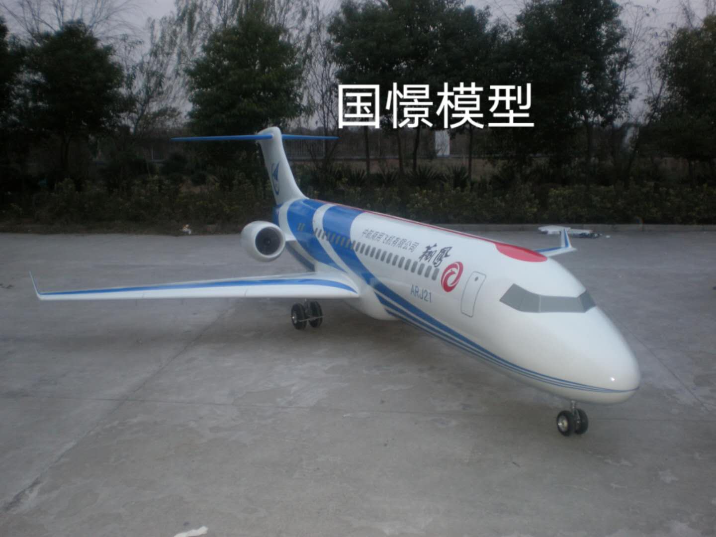 道孚县飞机模型