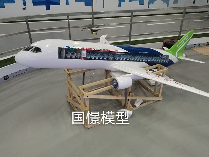 道孚县飞机模型